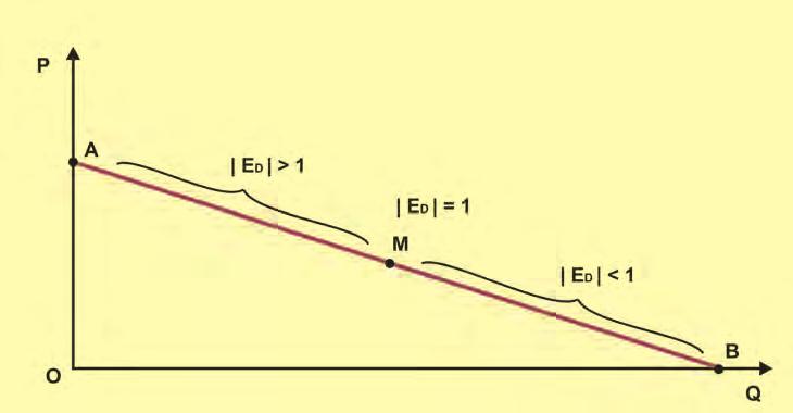 (iii) Καμπύλη ζήτησης με ελαστικότητα ίση με τη μονάδα Όταν η καμπύλη ζήτησης είναι ισοσκελής υπερβολή (5ii, κεφ.