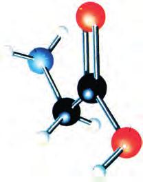 COOH και =CHCOOH βουτανικό ή βουτυρικό οξύ προπενικό ή ακρυλικό οξύ (κορεσμένο μονοκαρβοξυλικό) (ακόρεστο μονοκαρβοξυλικό) Σε αλειφατικά (άκυκλα) και αρωματικά ανάλογα αν έχουν βεζολικό ή όχι