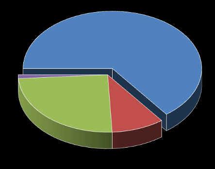 53 weight-% noncombustible material (stones, glass, m etals) <1 weight-% renewable energy sources (paper, textiles, wood, organic material, loss on