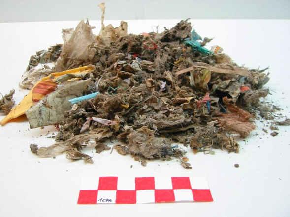 pellet