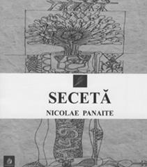 picant, condimentat este vânat cu un ochi hulpav. Nu mă abţin chiar să spun, cu riscul de a relua un clişeu, că se observă în unele proze ochiul pictorului.