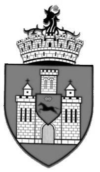 Revista poate fi procurată din reţeaua de librării SEDCOM LIBRIS, precum și direct de la redacţia editurii Junimea (luni-vineri, 9-14), tel.: 0232-410427.