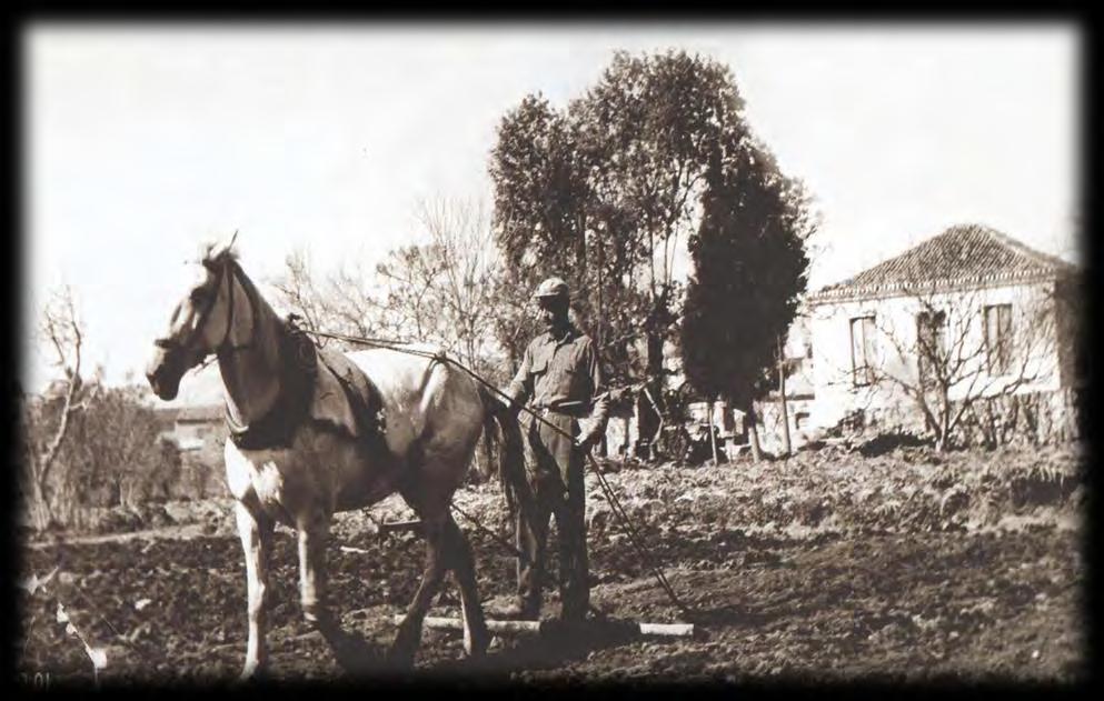 Ο Σ τ έ λ ι ο ς Λ ο υ κ ί σ α ς σ β α ρ ν ί ζ ε ι σ τ ο α γ ρ ό κ τ η μ ά τ ο