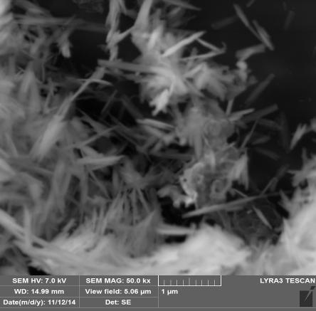 hidroxilului (OH - ), doua benzi caracteristice vibratiei de deformare a hidroxilului (OH - ) in planul (001), δ = 890 cm -1 respectiv vibratiei de deformare in afara planului (001), γ= 791 cm -1 si
