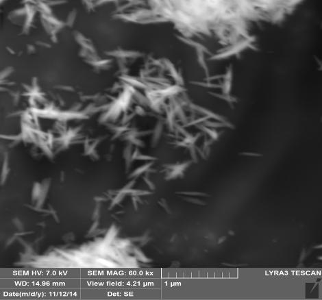 In cazul hidrolizei unei solutii diluate de FeCl 3 timp de 96 h la temperatura de 70 0 C se formeaza akagaenita (β-feo(oh)). Figura de difractie (Fig.