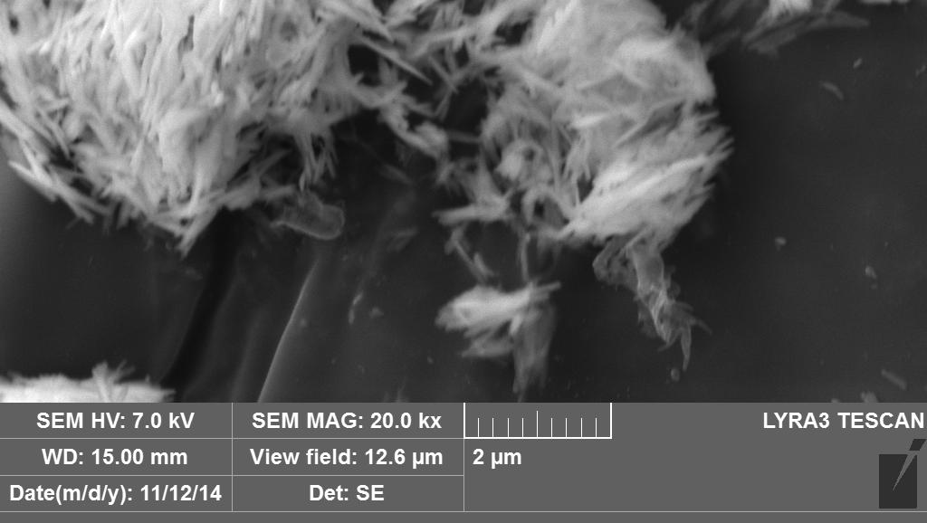 crestere atat in lungime (de la 1 µm la 2 3 µm) cat si in diametru (de la 100 nm la 150 200 nm) a