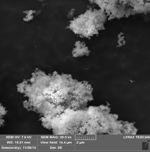 (a) (b) Fig. 16 (a) Imagini SEM pentru goetita obtinuta prin oxidarea solutiei de FeSO 4 + NaHCO 3 in flux mic (0.