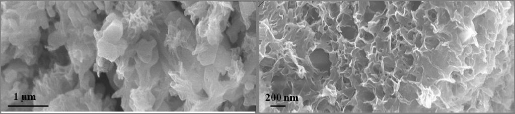 Στις φωτογραφίες SEM που ελήφθησαν, παρατηρήθηκαν χαρακτηριστικοί φυλλόμορφοι, πυκνοσχηματισμένοι κρυσταλλίτες OCP μεγέθους περίπου 200 nm, οι οποίοι συνυπήρχαν με τα κρυσταλλικά