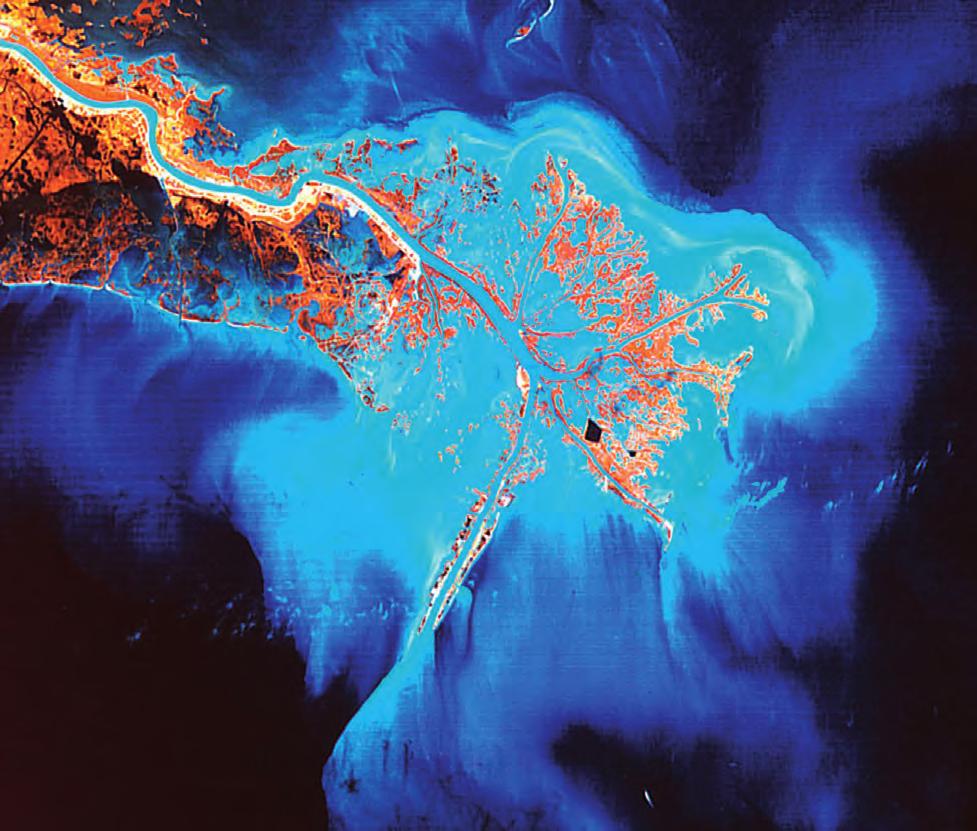 Εικόνα 2-1 Δέλτα του ποταμού Μισισσιπή: Δορυφορική λήψη (Landsat 5 Satellite), στην οποία φαίνονται καθαρά οι τεράστιες ποσότητες φερτής ύλης του ποταμού (ανοικτό γαλάζιο).