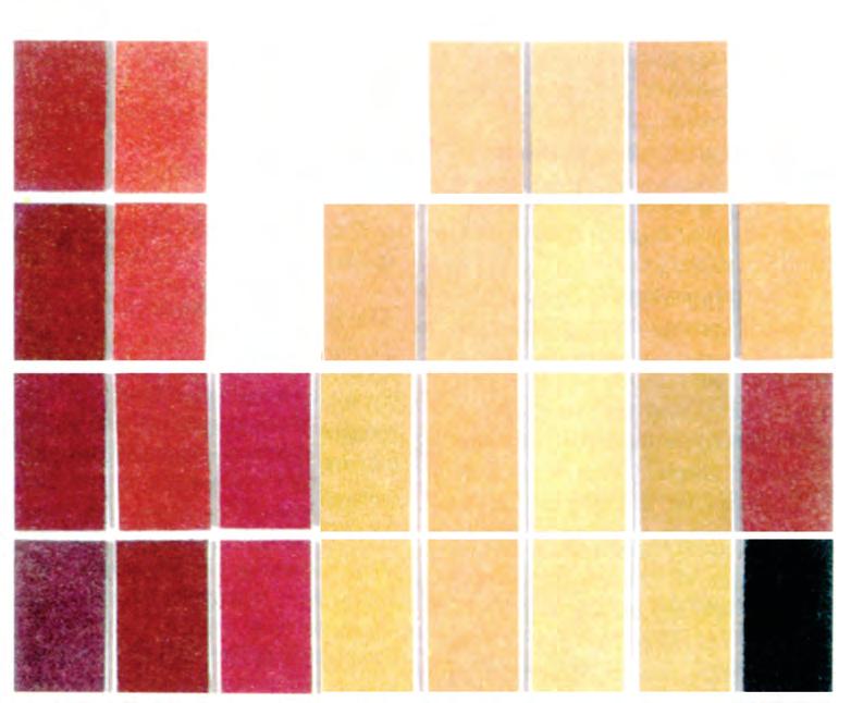 Εικόνα 4-4 Τυπικά χρώματα των οξειδίων του σιδήρου που επικρατούν στο έδαφος. είναι ένα αλλά μείγμα πολλών χρωμάτων και κυρίως του τεφρού, κίτρινου, καστανού και ερυθρού.