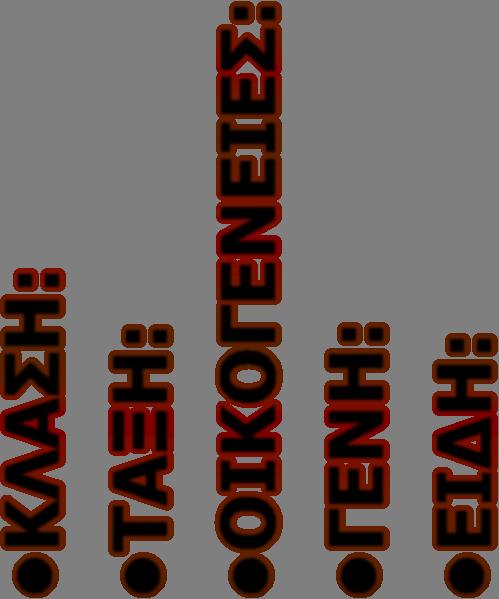 ΤΡΩΚΤΙΚΑ