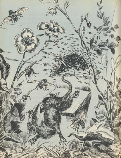 176
