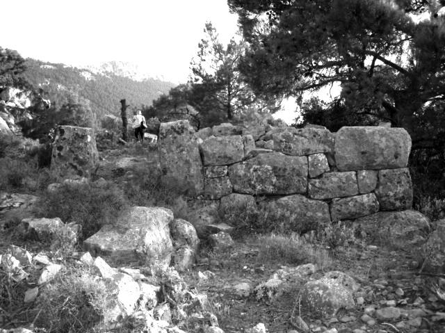 χρονολόγηση Βασιλική βελανιδιά mi