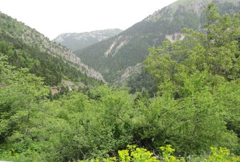 Ορεινές περιοχές Στις ορεινές περιοχές, το τοπίο διαμορφώνεται από κεκλιμένη εδαφική επιφάνεια,
