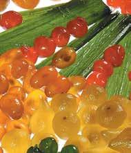 3 Κιλών Blackberries in Syrup Βατόμουρο σε Σιρόπι DGF Amarena in Syrup 22/24 Αμαρένα σε Σιρόπι CESARIN Amarena without Syrup Αμαρένα Στεγνή CESARIN