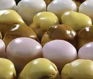 ζαχαροπλαστικής Fondant Soft Γλάσο