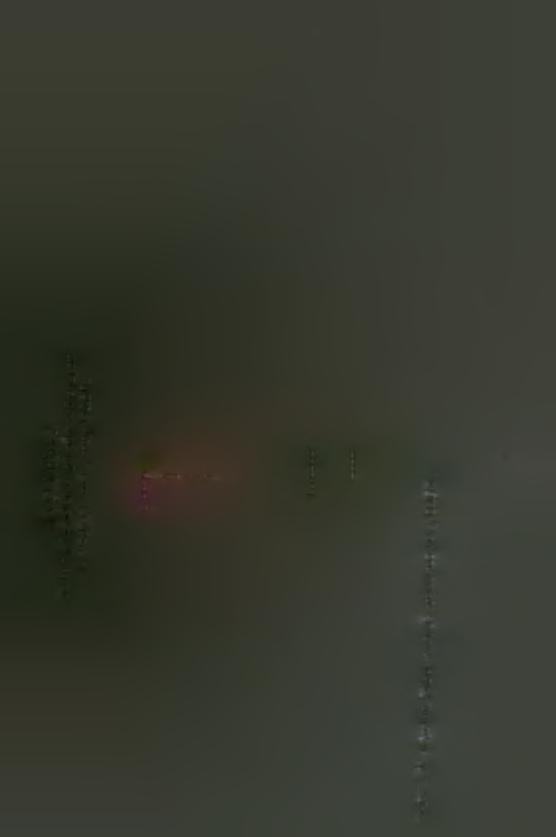 ΔΙΑΓΡΑΜΜΑ 2 Κατανομή κύκλου εργασιών ανά εταιρία Οι εταιρίες Leasing