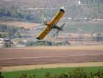 ניר ותלם ירחון לנושאי גידולי שדה ומיכון והנדסה בחקלאות ירחון היוצא לאור מטעם ארגון עובדי הפלחה, שה"מ, משרד החקלאות והמכון להנדסה חקלאית.