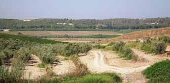 גד"ש בין עלון לעלון זריעת גידולי החורף בעיצומה וגשם אין. נקווה שעד פרסום העיתון יגיע החורף ואיתו הגשם.