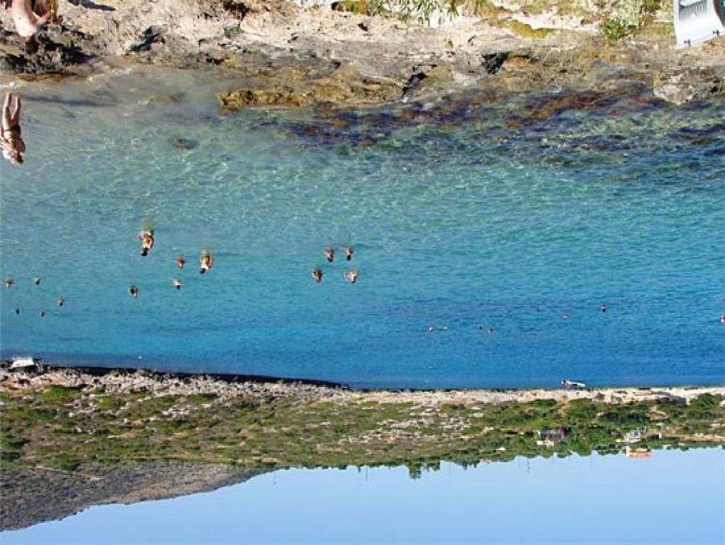 Αρχαιολογικοί Χώροι και Νεότερα Μνημεία στη Δ.Ε Ακρωτηρίου 2 Σταυρός 1 # V # V 3 6 # V 8 ΣΤΑΥΡΟΣ ΑΓΙΑ ΓΑΛΗΝΗ ³ 4 # V Υπόμνημα Πόλεις -Οικισμοί Υπόμνημα 7 Ακτογραμμή Διοικητικά Όρια Δ.