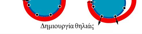 Επίσης, έχει δειχθεί ότι η μεταγραφή του 5% των γονιδίων του σακχαρομύκητα επηρεάζεται από το σύμπλοκο τύπου ΙΝΟ80 (θετικά ή αρνητικά, (41).