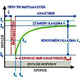 αναλύεται. Ακόμη συγκρίνεται η τελική τιμή του φθορισμού (Ι Ε ) στην περιοχή φωτοδιάχυσης με την τιμή πριν την φωτοδιάχυση (Ι Ι ).