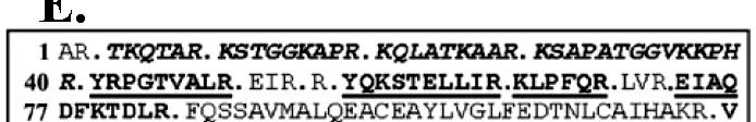 Εικόνα 1. Σύνδεση της ΗΡ1 σε απομονωμένες ιστόνες και ιστονικά πεπτίδια.