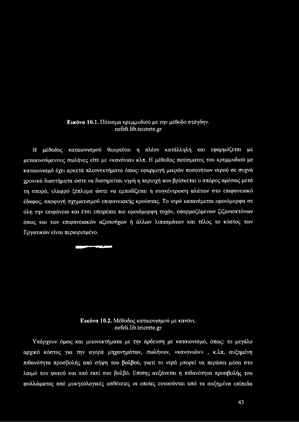 Η μέθοδος ποτίσματος του κρεμμυδιού με καταιονισμό έχει αρκετά πλεονεκτήματα όπως: εφαρμογή μικρών ποσοτήτων νερού σε συχνά χρονικά διαστήματα ώστε να