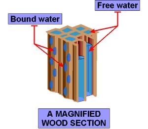 Σημείο Ινοκόρου Σημείο ινοκόρου (Σ.Ι.) του ξύλου: Η κατάσταση εκείνη κατά την οποία τα κυτταρικά τοιχώματα είναι πλήρως κορεσμένα με νερό και οι κυτταρικές κοιλότητες άδειες.