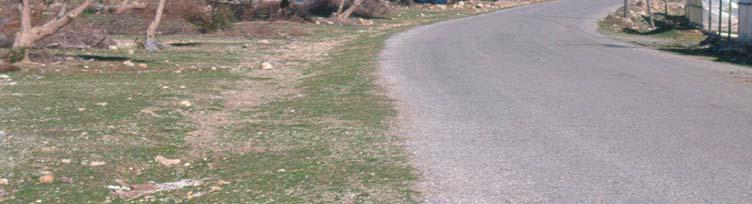 υπάρχει μικρός οικισμός, πολλές ταβέρνες και θερμοκήπια.