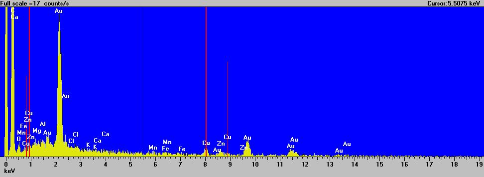 Σχήμα 6.5: EDS STMWCNT-NH 2 Στο δείγμα των MWCNT της Aldrich βρέθηκε μικρή ποσότητα σιδήρου και αργιλίου. Στο δείγμα των STMWCNT υπάρχουν μικρές ποσότητες ασβεστίου, καλίου, χλωρίου και μαγγανίου.