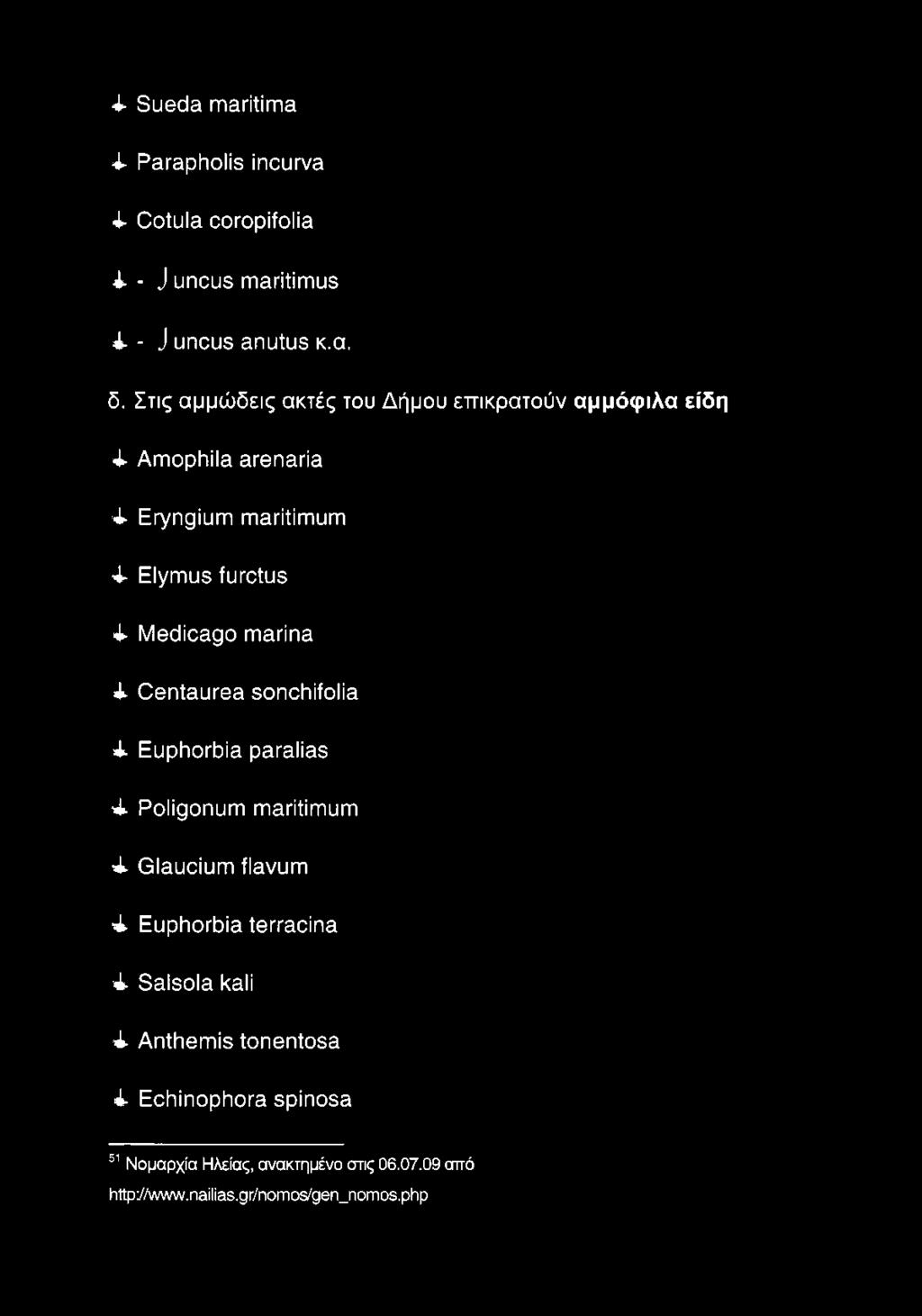4 Sueda maritima 4 Parapholis incurva 4 Cotula coropifolia 4 - J uncus maritimus 4 - J uncus anutus κ.α. δ.