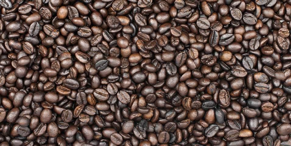 Καφέδες - Ροφήµατα 1. Espresso/ 0,90 Ελληνικός 2. Espresso διπλός/espresso Freddo/ 1,60 Cappuccino/Ελληνικός διπλός 3. Cappuccino διπλός/ 1,90 Cappuccino Freddo 4. Nescafé/Frappé/Φίλτρου 1,50 5.