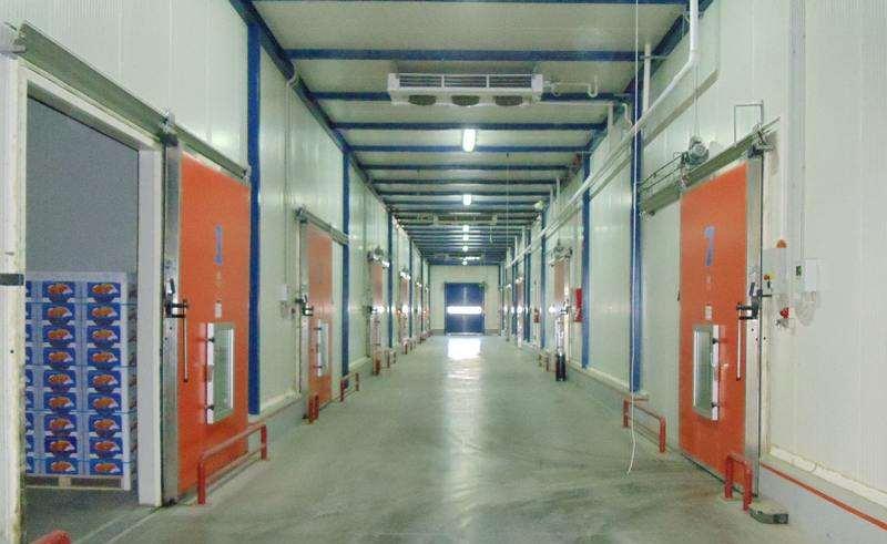 192 ρυθμίζεται η θερμοκρασία και η σχετική υγρασία και εφαρμόζεται αιθυλένιο. Το αιθυλένιο αυξάνει την αναπνοή των καρπών και κατά συνέπεια και την παραγωγή του CO2.