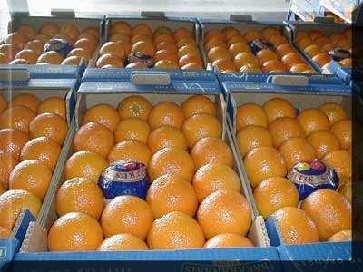 194 μεταφορά, για επίτευξη ομοιόμορφης θερμοκρασίας και σχετικής υγρασίας.