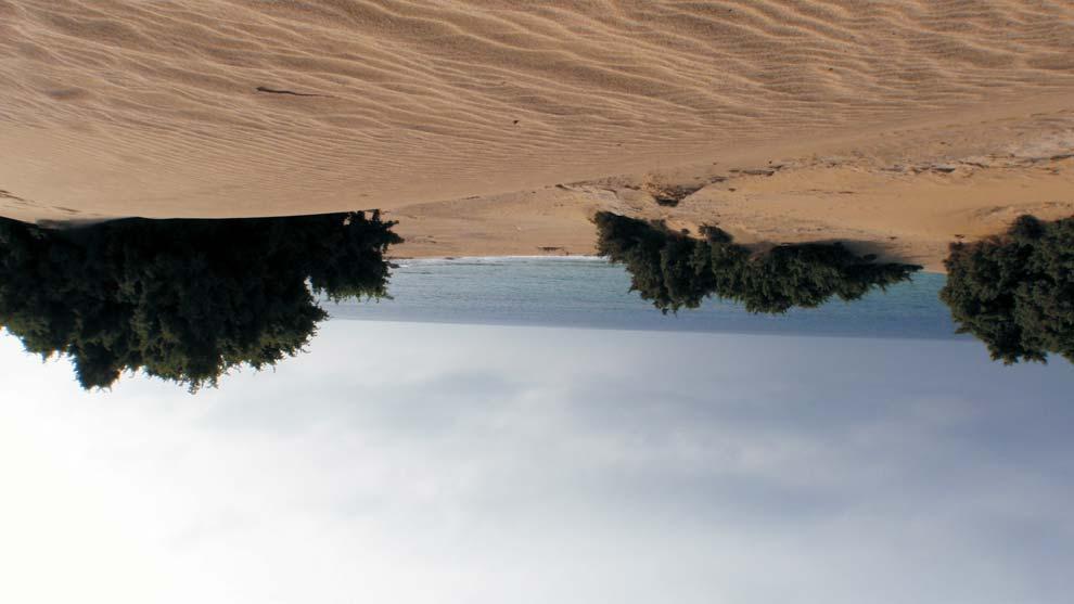 ACTIONS FOR THE CONSERVATION OF COASTAL DUNES