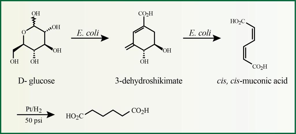 Μία άλλη ερευνητική ομάδα (Dugal, Sankar, Raja, & Thomas, 2000) πρότεινε μια 2 η εναλλακτική «πράσινη» μέθοδο με απευθείας οξείδωση του κυκλοεξανίου με ξηρό αέρα παρουσία στερεού μικροπορώδους,