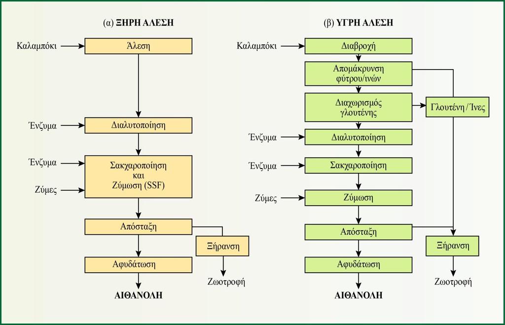 Τα ένζυμα που χρησιμοποιούνται για την παραγωγή του βιοντίζελ είναι, κυρίως, οι λιπάσες και μπορεί να είναι στην ελεύθερη τους μορφή (ομογενής κατάλυση) ή ακινητοποιημένες σε κατάλληλους στερεούς