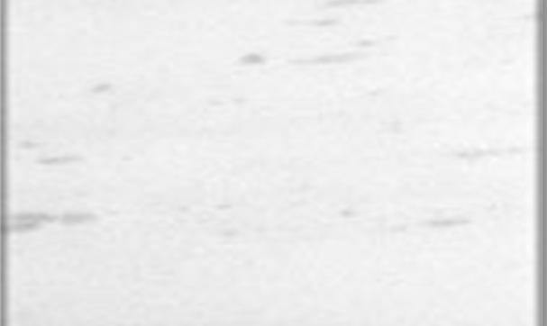 ΛΕΥΚΟ ΛΙΜΕΝΑ ΘΑΣΟΥ Αδροκόκκο δολομιτικό μάρμαρο με τεφρά συσσωματώματα ΟΡΥΚΤΟΛΟΓΙΚΗ ΣΥΣΤΑΣΗ (% κ.β.