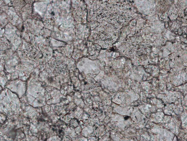 β: Διάσπαρτοι στη μάζα του πετρώματος μικρόκοκκοι σιδηρούχων ορυκτών (κυρίως μαγνητίτης), οι περισσότεροι των οποίων είναι οξειδωμένοι. Nicols //, μεγέθυνση Χ200.