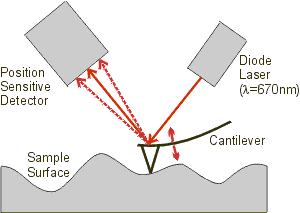 Όπως γνωρίζουμε από το νόμο του hooke η σχέση μεταξύ δύναμης F και παραμόρφωσης Δx ενός ελατηρίου δίνεται από τη σχέση: F = - K Δx Η κίνηση του ελάσματος παρακολουθείται καθώς μια δέσμη laser
