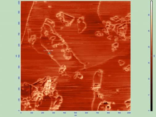 Εικόνα 15: Εικόνα AFM του ΝΚ133 σε επιφάνεια HPG (Highly riented Pyrolytic Graphite) που δείχνει ότι το πλάτος του είναι 17,6 nm. Η περιοχή σάρωσης είναι 1x1 μm.