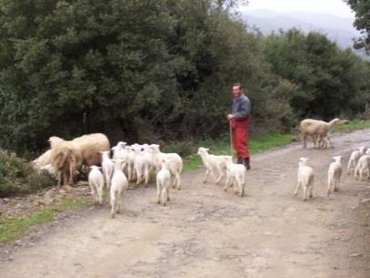 ΘΕΣΣΑΛΙΑ ΔΥΤΙΚΗ ΜΑΚΕΔΟΝΙΑ ΗΠΕΙΡΟΣ