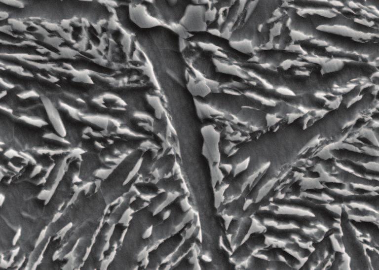 3si steel after different preliminary treatment (M martensite, B bainite, F ferrite) (a) quenched after 9 for austenizing (b) air cooled after 9 for austenizing Æ 49 U A B 5(y[ 3a j b A.