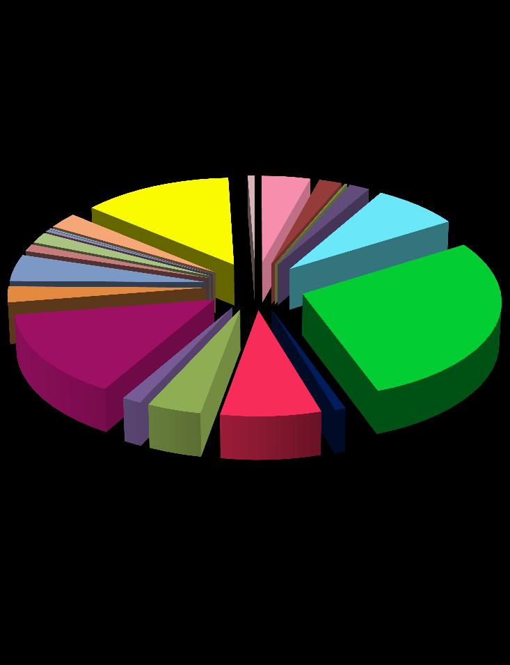 Bk BI BC BA 1% 2% 3% 3% 5% 13% 1% 4% 2% 2% 8% EM Me MA ME MS Eu EA 4% 28% ES 14% Pt 1% 8% 1% Ct ST Bo AA Co Ξενικά Εικόνα 4.