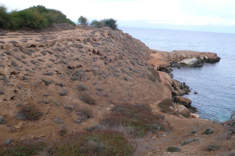 Σε πολλές περιπτώσεις η