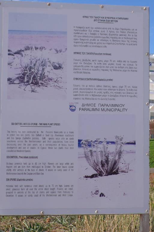 paralias, στην πραγματικότητα όλος ο πληθυσμός του