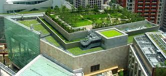 Φυτεμένο δώμα Το κομμάτι της επιφάνειας της οροφής κτηρίων, καλείται Φυτεμένο ή Πράσινο Δώμα.