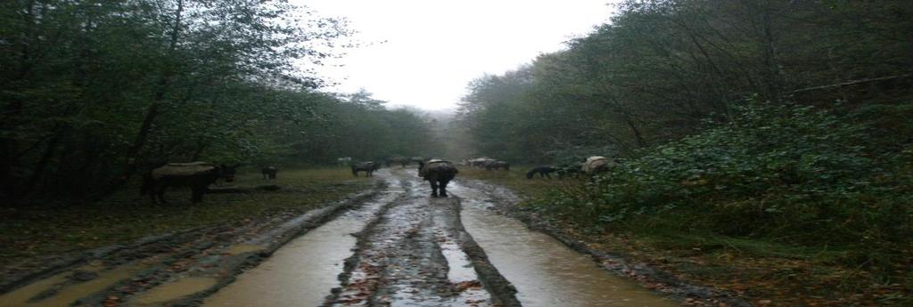 ηξίβεη αξηζηεξά θαη αθνινπζεί γηα 840 κ ηνλ θαηεθνξηθφ ρσκαηφδξνκν.