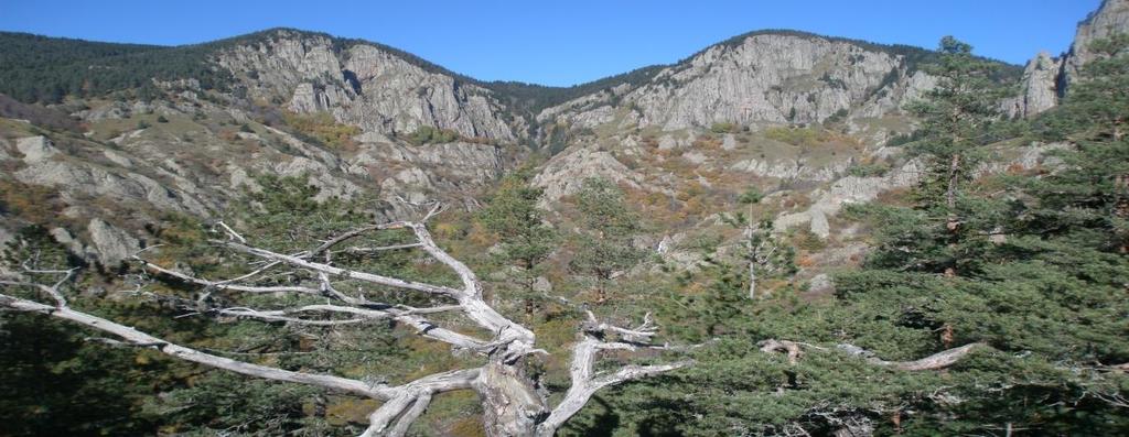 Ζ δηαδξνκή θηλείηαη κε κηθξέο απμνκεηψζεηο, ζε γεληθή θαηεθνξηθή θιίζε, δηαζρίδνληαο κηθξά ξέκαηα ζηελ αξρή, έρνληαο πάληα δεμηά ην Αριαδφξεκα.